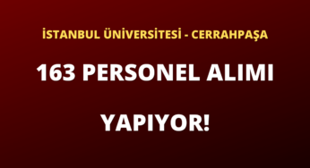 İstanbul Üniversitesi – Cerrahpaşa 163 Sözleşmeli Personel Alımı Yapıyor!