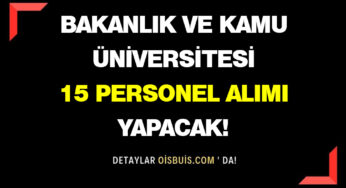 Bakanlık ve Kamu Üniversitesi 15 Personel Alımı Yapacak!