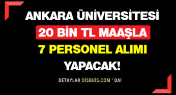 Ankara Üniversitesi 20 Bin TL Maaşla 7 Personel Alımı Yapacak!