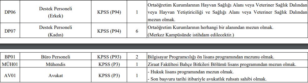 Pamukkale Üniversitesi KPSS Taban Puansız 110 Memur Alımı Yapacak!