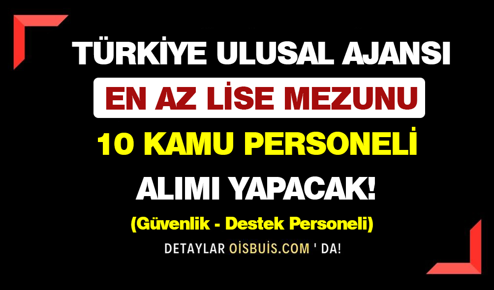 Türkiye Ulusal Ajansı En Az Lise Mezunu 10 Kamu Personeli Alımı Yapacak!