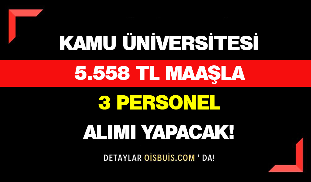 Kamu Üniversitesi 5.558 TL Maaşla 3 Personel Alımı Yapacak!