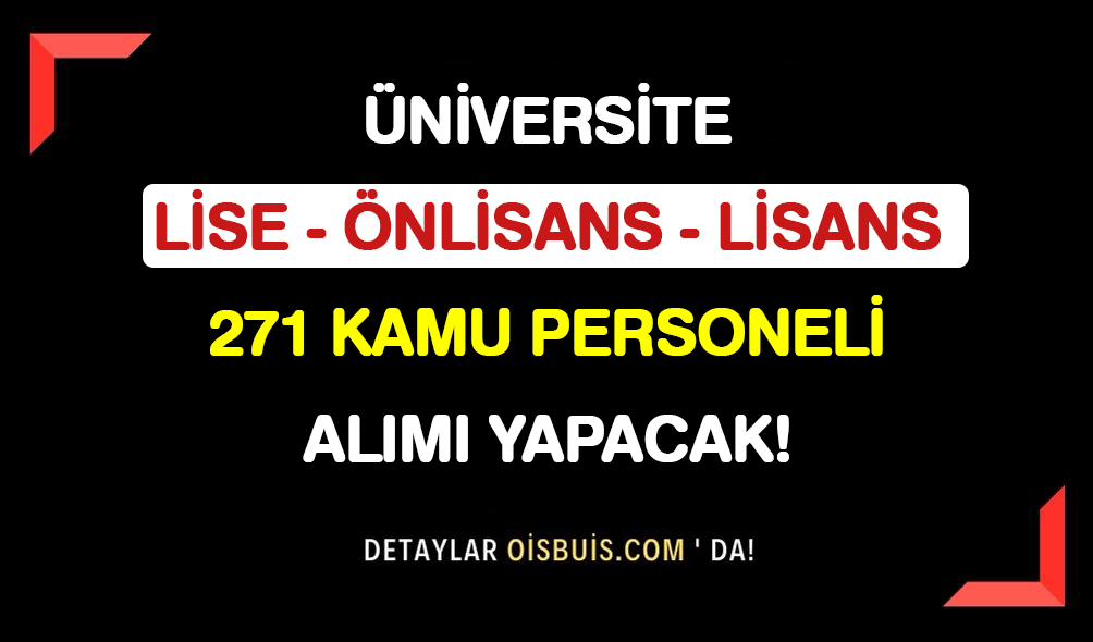 Üniversite Lise Önlisans Lisans 271 Kamu Personeli Alımı Yapacak!