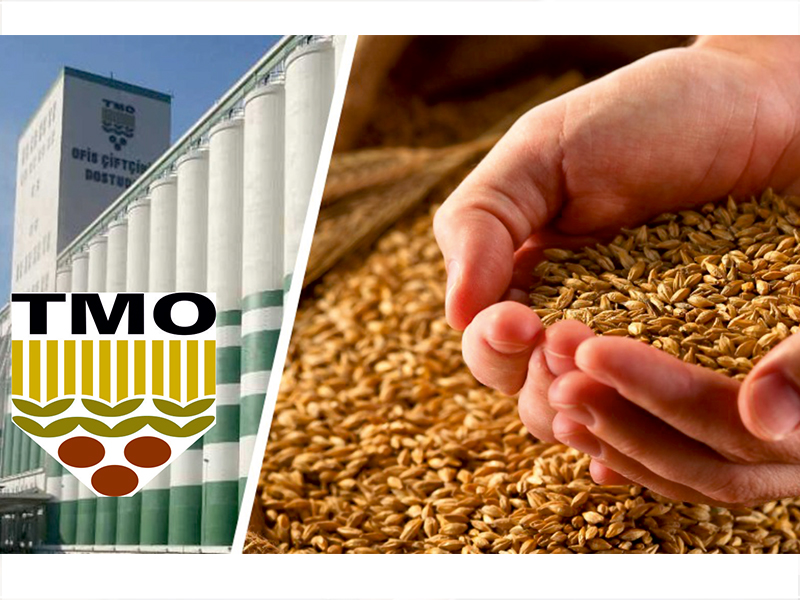 Tarım ve Orman Bakanlığı TMO’dan 7 Kamu Personeli Alımı: Sınav Detayları ve Başvuru Şartları