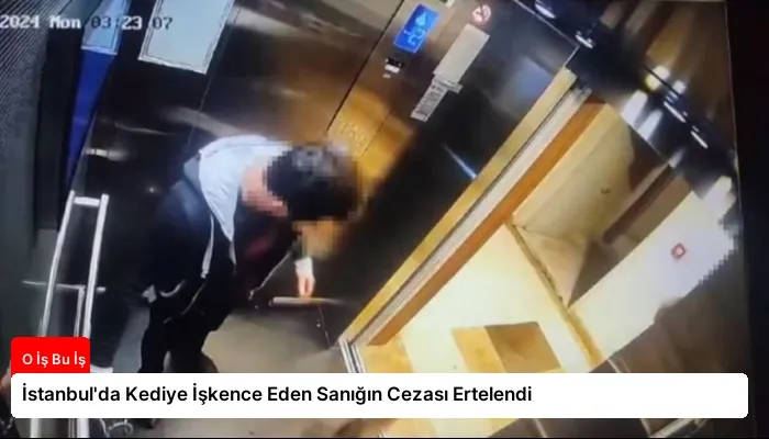 İstanbul’da Kediye İşkence Eden Sanığın Cezası Ertelendi