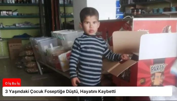 3 Yaşındaki Çocuk Foseptiğe Düştü, Hayatını Kaybetti