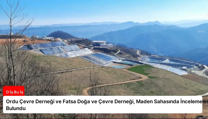 Ordu Çevre Derneği ve Fatsa Doğa ve Çevre Derneği, Maden Sahasında İncelemelerde Bulundu