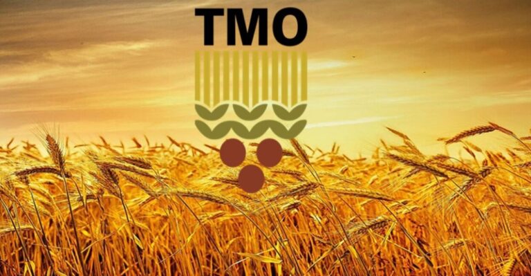 KPSS Puanıyla Bakanlık Kapısı Açılıyor! TMO’dan KPSS İle Memur Alımı Fırsatı