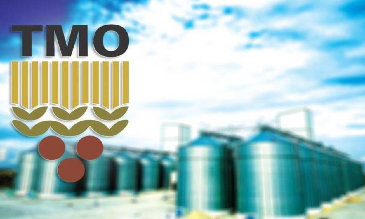 Fırsatı Kaçırmayın! Toprak Mahsulleri Ofisi KPSS İle Memur Alımı Yapacak