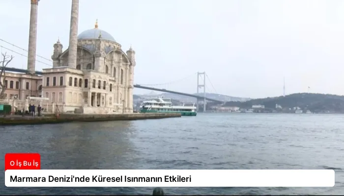 Marmara Denizi’nde Küresel Isınmanın Etkileri