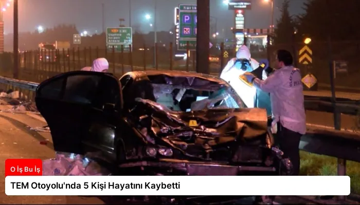 TEM Otoyolu’nda 5 Kişi Hayatını Kaybetti