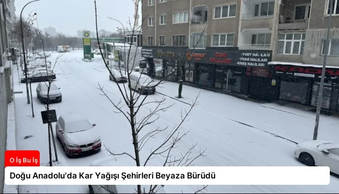 Doğu Anadolu’da Kar Yağışı Şehirleri Beyaza Bürüdü