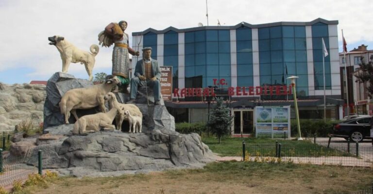 Kangal Belediyesi’nden İkamet Şartsız Memur Alımı! 60 KPSS Puanı ile Büyük Fırsat