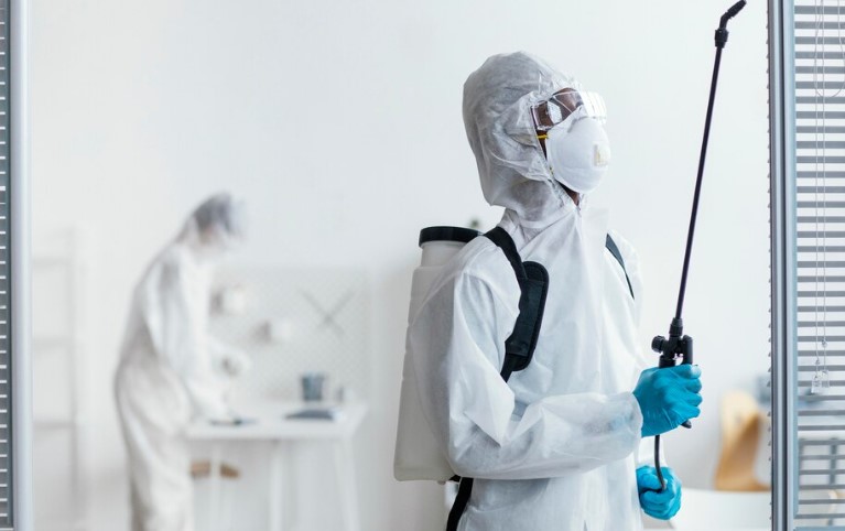 Detaylı Haşere Analizi ve Ücretsiz Keşif Desteği