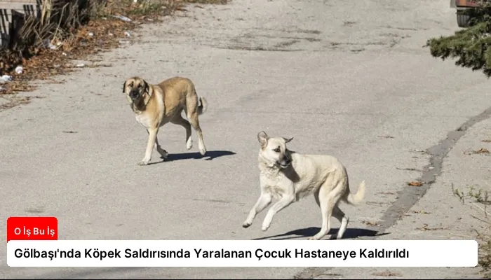 Gölbaşı’nda Köpek Saldırısında Yaralanan Çocuk Hastaneye Kaldırıldı