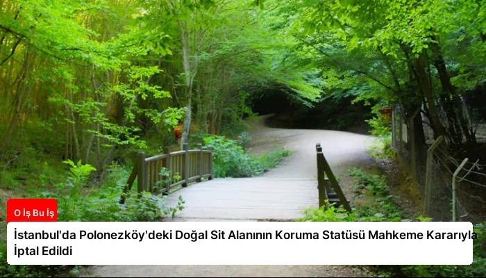 İstanbul’da Polonezköy’deki Doğal Sit Alanının Koruma Statüsü Mahkeme Kararıyla İptal Edildi