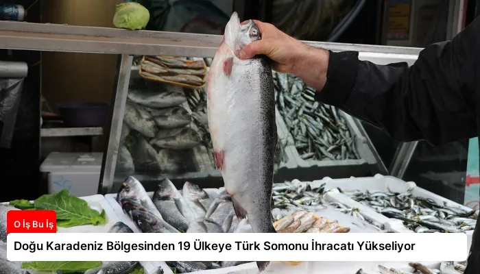 Doğu Karadeniz Bölgesinden 19 Ülkeye Türk Somonu İhracatı Yükseliyor