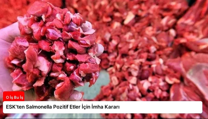 ESK’ten Salmonella Pozitif Etler İçin İmha Kararı