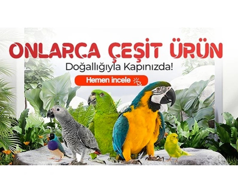 Yem Burada’dan Besleyici ve Dengeli Papağan Yem Seçenekler