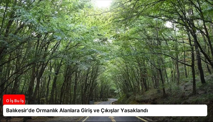Balıkesir’de Ormanlık Alanlara Giriş ve Çıkışlar Yasaklandı