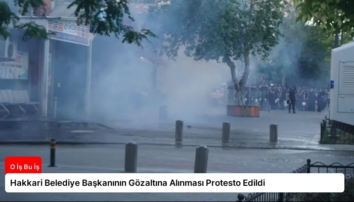Hakkari Belediye Başkanının Gözaltına Alınması Protesto Edildi