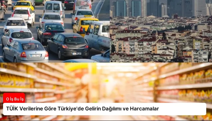 TÜİK Verilerine Göre Türkiye’de Gelirin Dağılımı ve Harcamalar