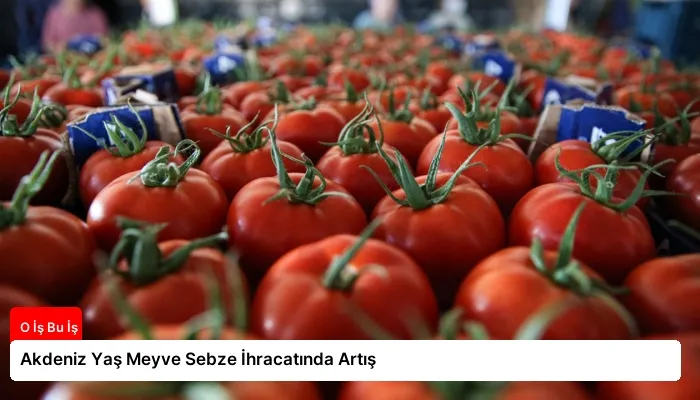 Akdeniz Yaş Meyve Sebze İhracatında Artış
