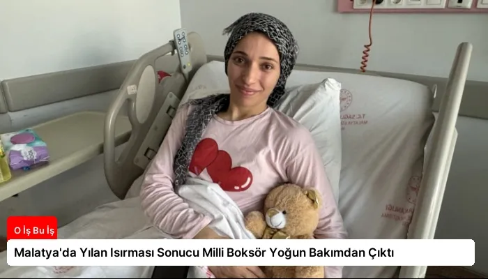 Malatya’da Yılan Isırması Sonucu Milli Boksör Yoğun Bakımdan Çıktı