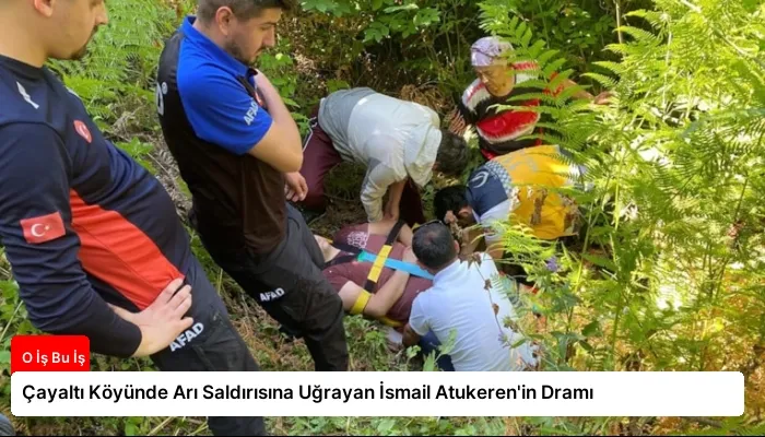 Çayaltı Köyünde Arı Saldırısına Uğrayan İsmail Atukeren’in Dramı