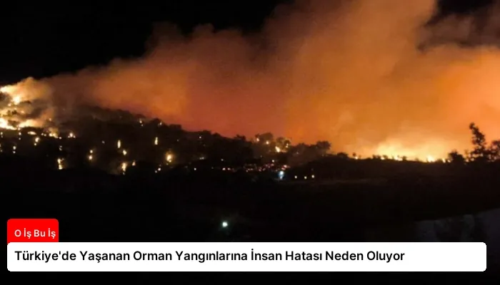 Türkiye’de Yaşanan Orman Yangınlarına İnsan Hatası Neden Oluyor