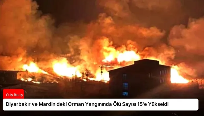 Diyarbakır ve Mardin’deki Orman Yangınında Ölü Sayısı 15’e Yükseldi