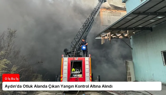 Aydın’da Otluk Alanda Çıkan Yangın Kontrol Altına Alındı