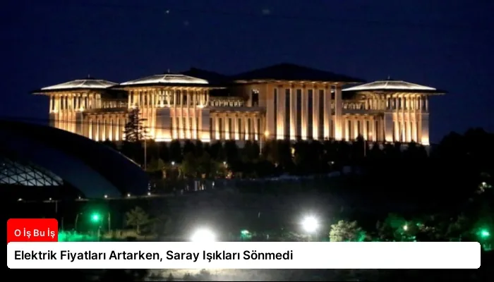 Elektrik Fiyatları Artarken, Saray Işıkları Sönmedi