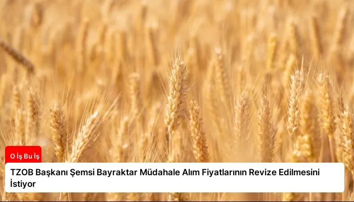 TZOB Başkanı Şemsi Bayraktar Müdahale Alım Fiyatlarının Revize Edilmesini İstiyor