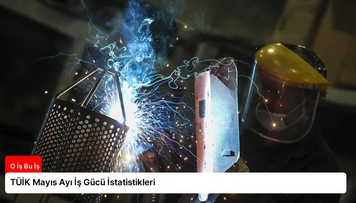 TÜİK Mayıs Ayı İş Gücü İstatistikleri