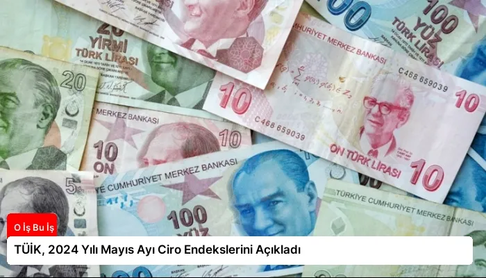 TÜİK, 2024 Yılı Mayıs Ayı Ciro Endekslerini Açıkladı