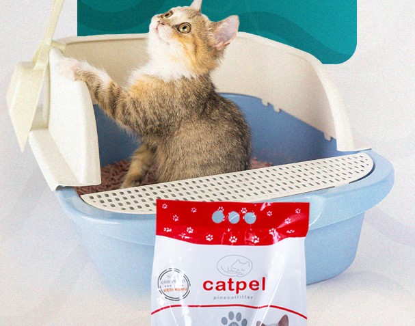 Pelet Kedi Kumu ile Tasarruf Yapmanın Yolları