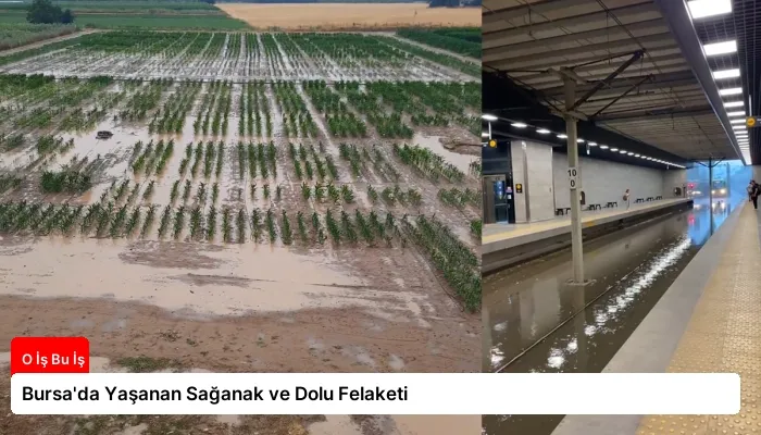 Bursa’da Yaşanan Sağanak ve Dolu Felaketi