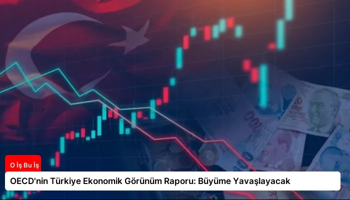 OECD’nin Türkiye Ekonomik Görünüm Raporu: Büyüme Yavaşlayacak