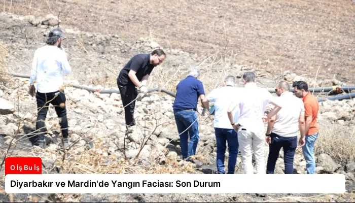 Diyarbakır ve Mardin’de Yangın Faciası: Son Durum