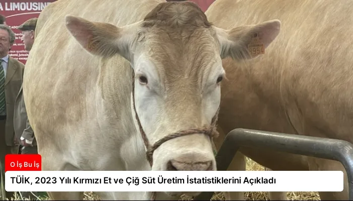 TÜİK, 2023 Yılı Kırmızı Et ve Çiğ Süt Üretim İstatistiklerini Açıkladı