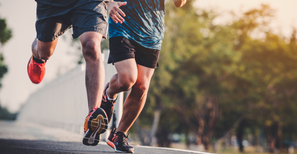 Spora Dair Her Şey: Gamblers Advices