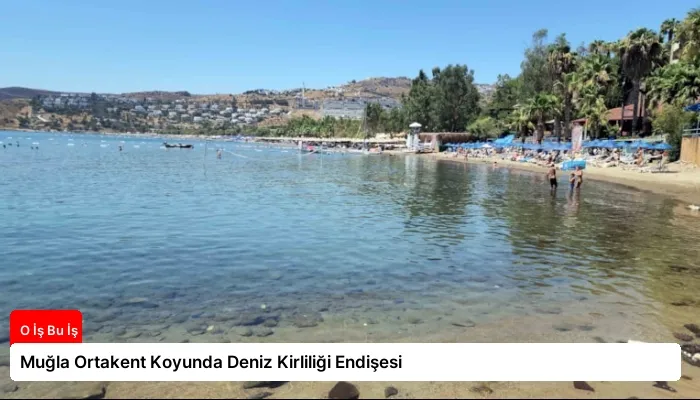 Muğla Ortakent Koyunda Deniz Kirliliği Endişesi