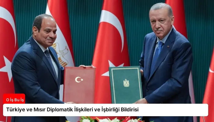 Türkiye ve Mısır Diplomatik İlişkileri ve İşbirliği Bildirisi