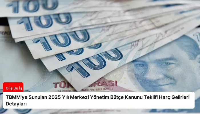 TBMM’ye Sunulan 2025 Yılı Merkezi Yönetim Bütçe Kanunu Teklifi Harç Gelirleri Detayları