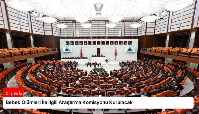 Bebek Ölümleri İle İlgili Araştırma Komisyonu Kurulacak