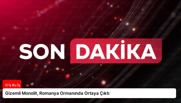 Gizemli Monolit, Romanya Ormanında Ortaya Çıktı