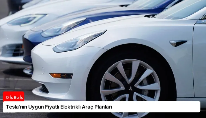 Tesla’nın Uygun Fiyatlı Elektrikli Araç Planları