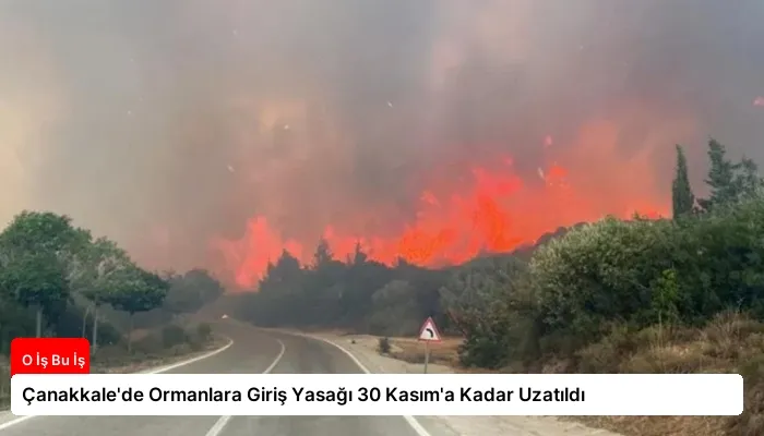 Çanakkale’de Ormanlara Giriş Yasağı 30 Kasım’a Kadar Uzatıldı