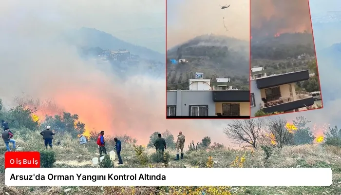 Arsuz’da Orman Yangını Kontrol Altında